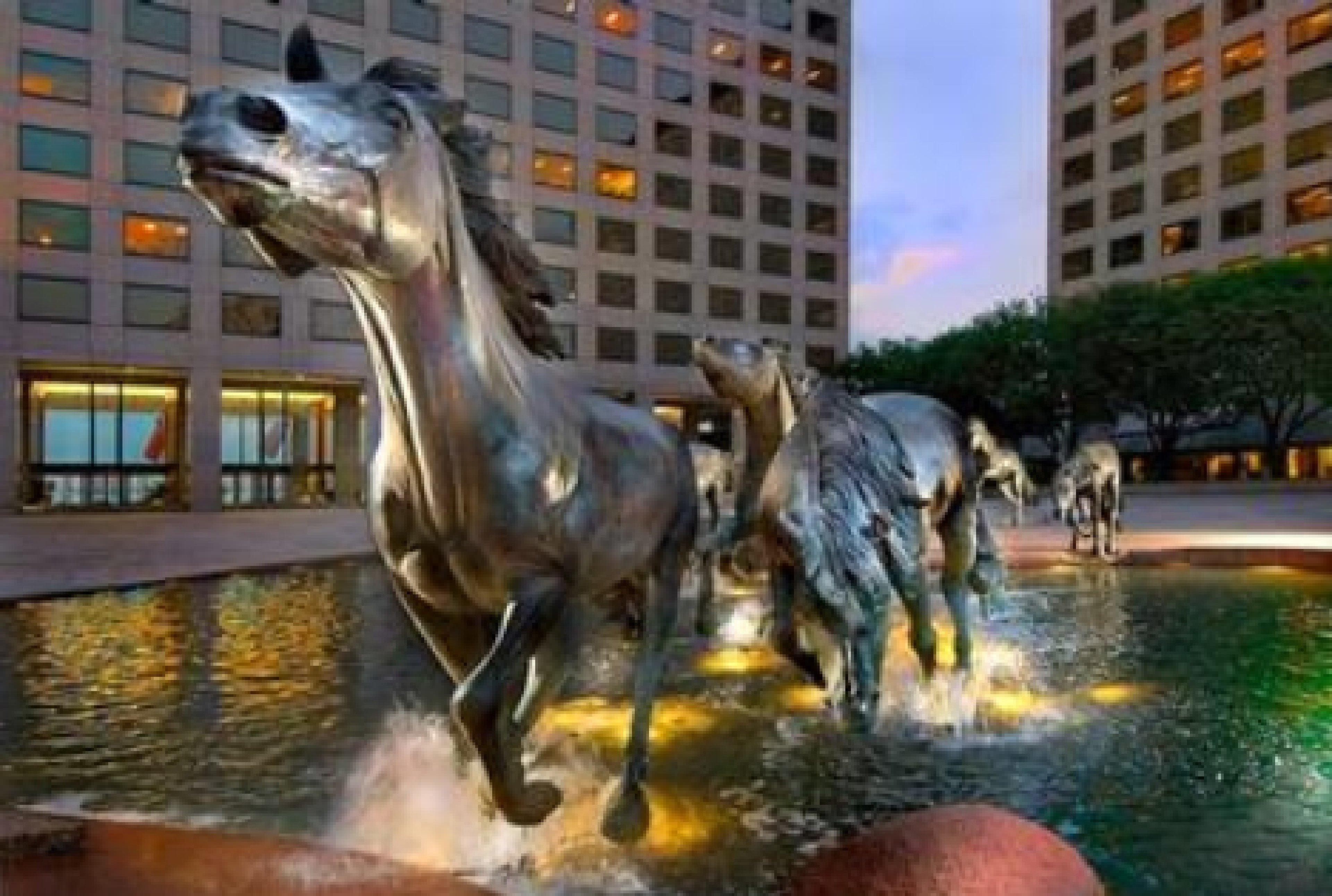 Sonesta Simply Suites Dallas Las Colinas Irving Exterior foto